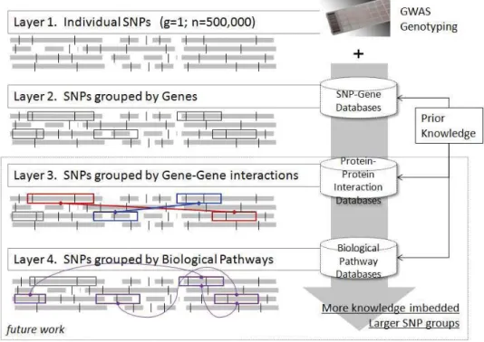 Fig. 1. A knowledge-based multi-layer SNP grouping mechanism