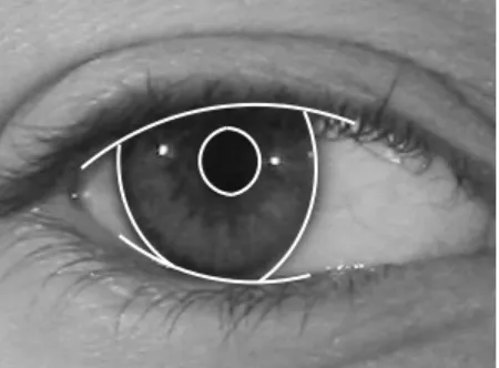Fig. 9 Example of a result obtained by the methods that approximate the iris boundaries as two ellipses and the eyelashes as two parabolic arcs