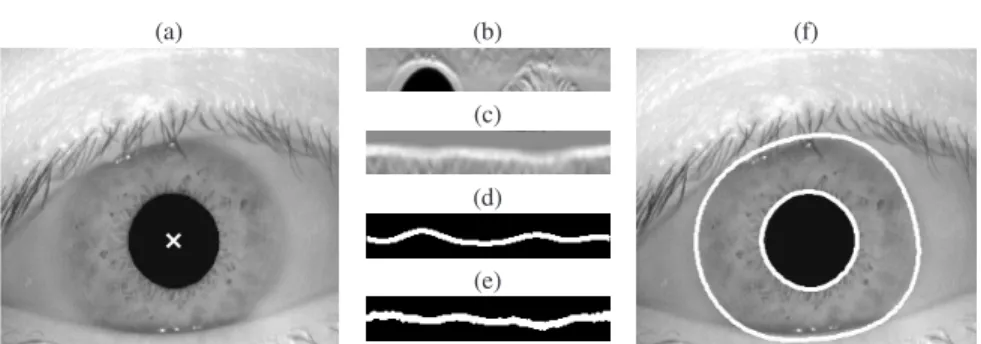 Fig. 11 Example of the results obtained by the Fourier active contours method: (a) input image and iris center; (b) region of the radial gradient image that describes the outer iris boundary in Polar coordinates; (c) region of the radial gradient image tha