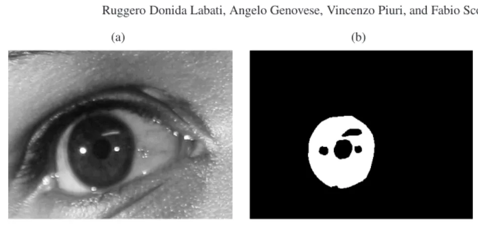 Fig. 1 Segmentation of the iris pattern. Starting from an eye image (a), this process estimates a binary mask (b) in order to classify the image pixels belonging to the iris pattern