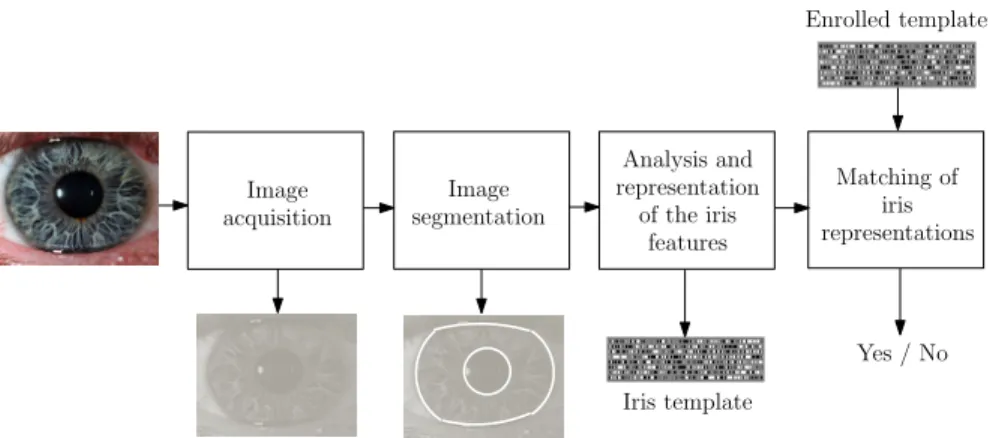 Fig. 3 Schema of an iris recognition system
