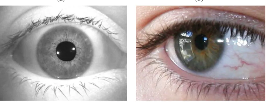 Fig. 5 Comparison between iris images captured in constrained and unconstrained conditions: