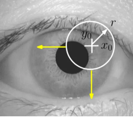 Fig. 7 Behavior of the iris segmentation method based on the integro-differential operator pro- pro-posed in [17] (r,x max 0 ,y 0 )  G σ (r) ∗ αα r I r,x 0 ,y 0 I (x, y)2πr ds  , (1)