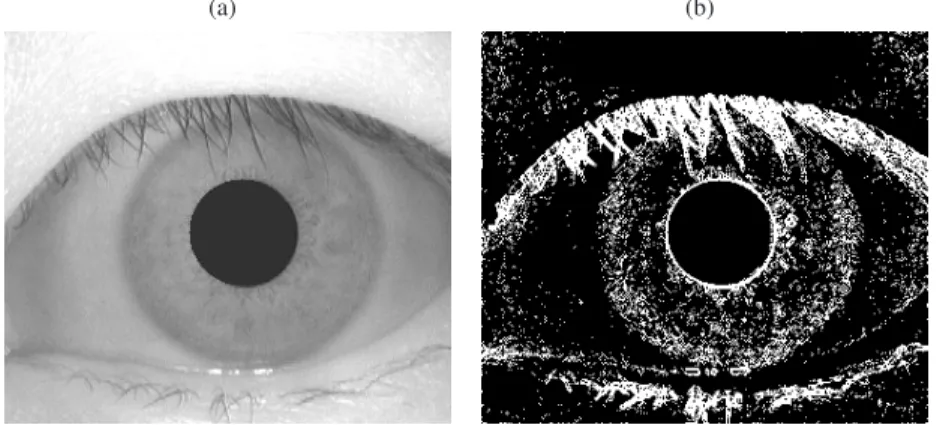 Fig. 8 Example of edge estimation: (a) original image; (b) binary image that describes the edges