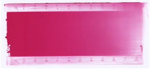 Figure 5. Little Joe sample