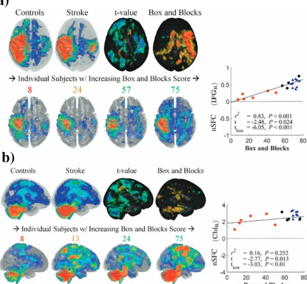 Fig. 7. Behavioral correlations of nSFC in sensorimotor and cerebellar networks.