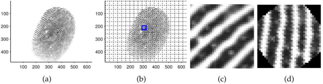 Figure 4.3: Input image used in illustrative examples of the processing of quality.