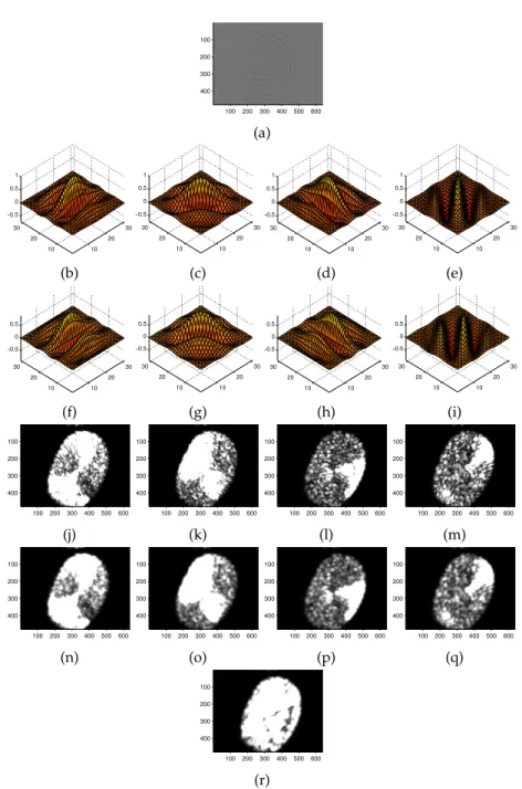 Figure 4.5: Processing steps of Gabor quality algorithm. r indicates in light grayscale values those image regions, where filter responses show large standard deviation and good image quality is  as-sumed.