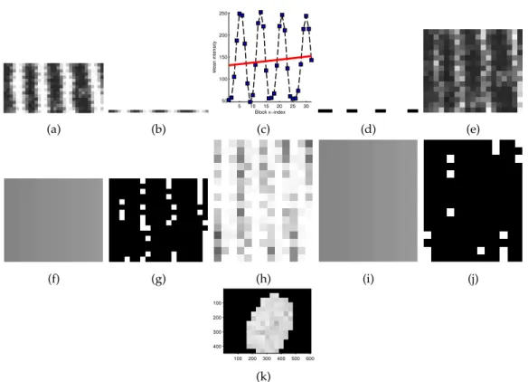 Figure 4.7: Processing steps of Local Clarity Score algorithm. k indicates in light grayscale values those image regions, where good quality is assumed.