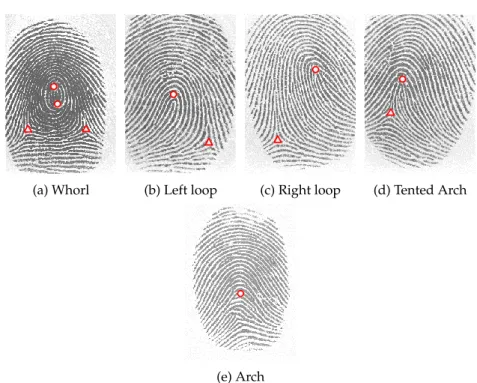 Figure 6.1: Identified SPs within Henry classification system, where cores and deltas are marked by circles and triangles respectively