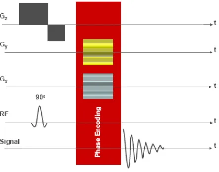 Figure  1.7.4  Typical  2D  MRSI  pulse  sequence.  Again  for  simplicity  the  initial  water  suppression, outer volume  suppression, and associated slice-selective crusher gradients are  not shown