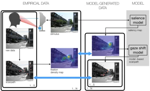 Fig. 1: Gaze data recording via eye-tracking and modelling. Given a stimulus (image I), the observer’s gaze trajectory is sampled and recorded