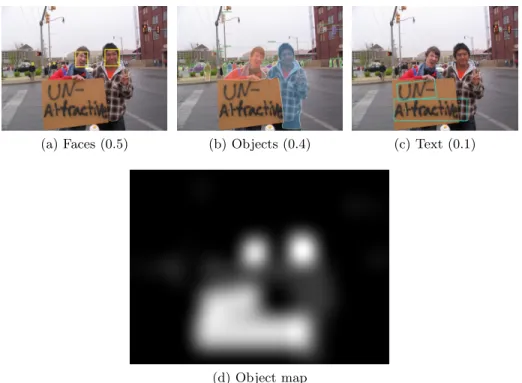 Fig. 4: Components of the object map: (a) shows the result of the face detector module; (b) the result of the object segmentation; (c) text detection result