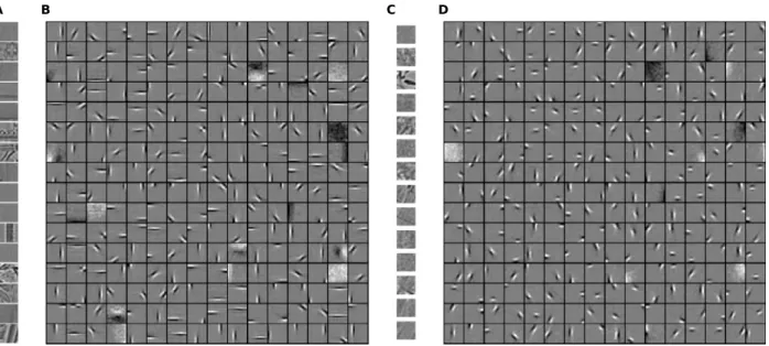 Fig. 4. The model learns oriented edge filters from pre-whitened natural images. A, B: Monuments dataset