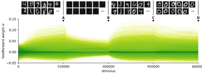 Fig. 9. Weights converge smoothly to a steady state after perturbations in the input. Top: sample training stimuli for each of the four training periods