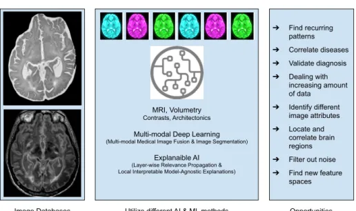 Fig. 1. Graphical abstract (brain images from [50])