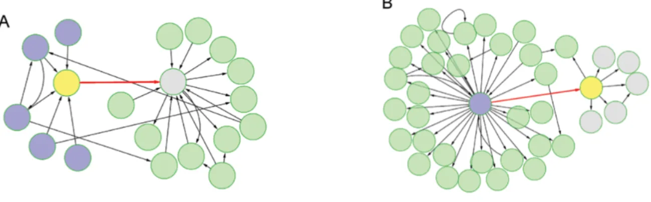 Figure 3: In this diagram, nodes represent metabolites and arrows represent enzymes. The direc- direc-tion of the arrow captures the enzyme’s role in converting an upstream metabolic substrate into a downstream product
