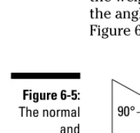 Figure 6-5:The normal