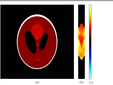 Figure 4. ‘Phantom-CT’ scenario. (a) Unknown function to recover. (b) Clean measurement data (‘sinogram’) for m s = 500 , m q = 45