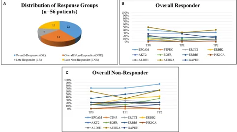 Figure 3: Distribution of response groups and comparison of gene expression in OR and ONR