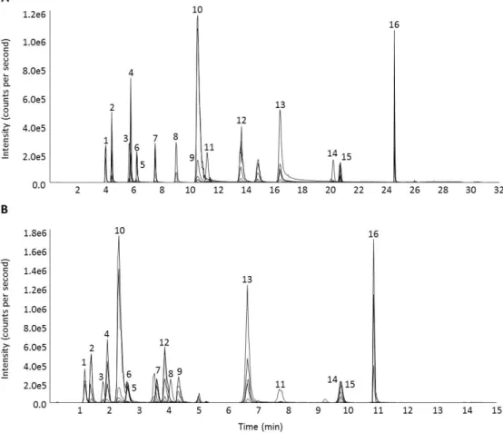 Figure  3.13  Comparison  of  (A)  initial  32  minute  HPLC-ESI-MS/MS  method  and  (B)  optimised  15  minute HPLC-ESI-MS/MS method chromatography 