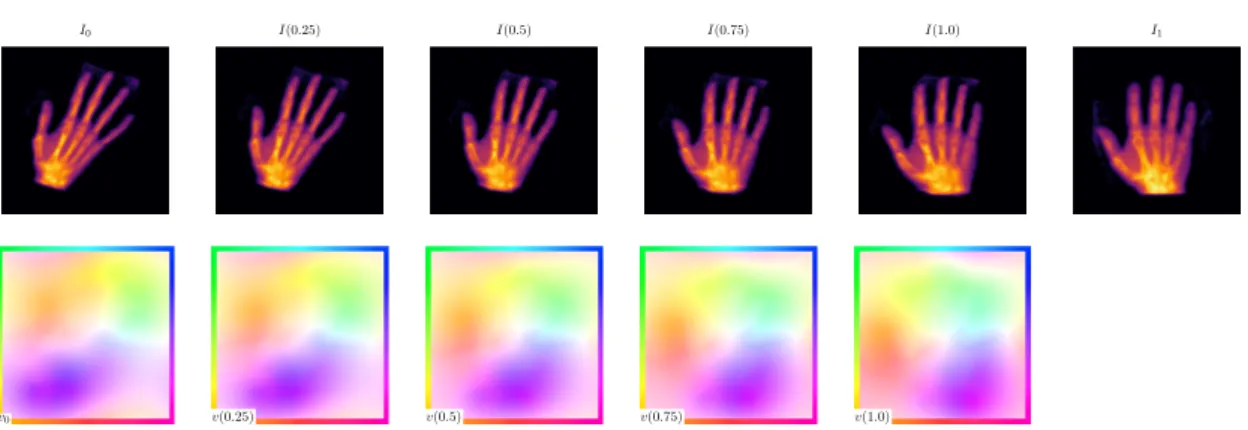 Figure 2.1: Evolution of the image (top) and the velocity field (bottom) over time.
