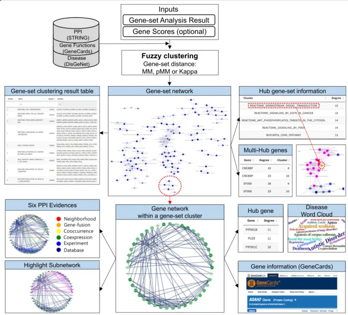 Fig. 1 GScluster overview. Interactive network analysis is provided for both gene (protein) and gene-set networks