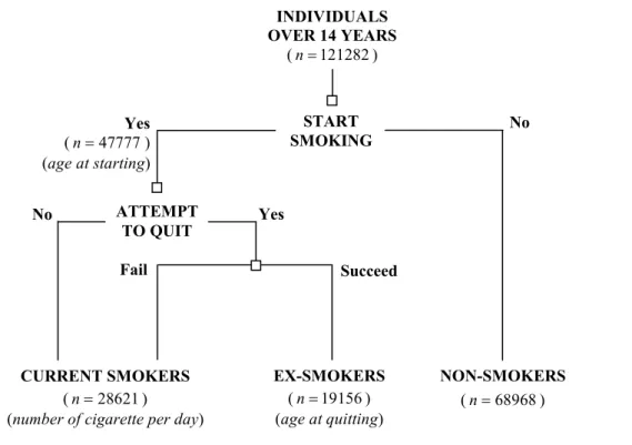 Figure 1 – Smoking behaviour of the individuals in the sample 