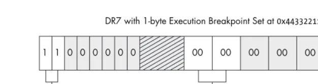 Figure 2-4: You can see how the flags set in the DR7 register dictate what type of break-point is used.