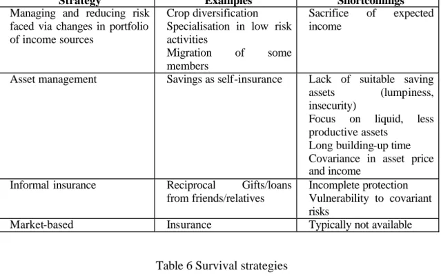Table 5 Risk management and coping strategies 