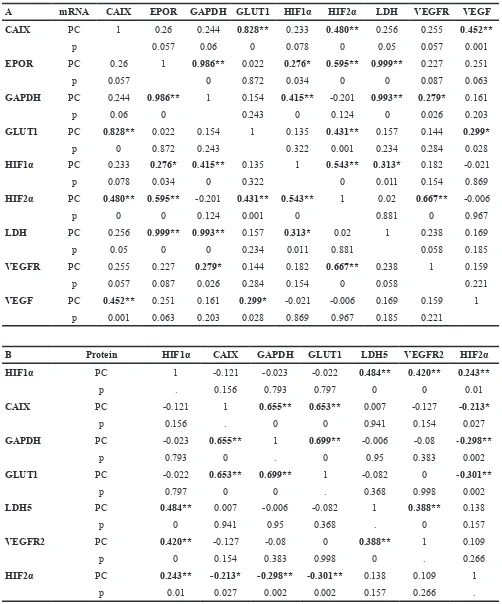 Table 2: Correlation of HIFs and their regulated genes and transcripts at mRNA (A) and protein (B) expression levels
