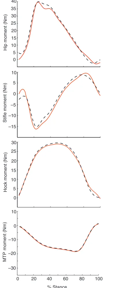 Table A1. Greyhound hindlimb segment inertial properties asestimated via a geometric model 