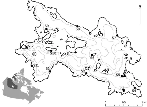 Fig. 1. The locations of 12 spawning sites (S1–S12) sampled in Alexie Lake, NWT. The bathymetric contours (grey lines) are at 10 m increments