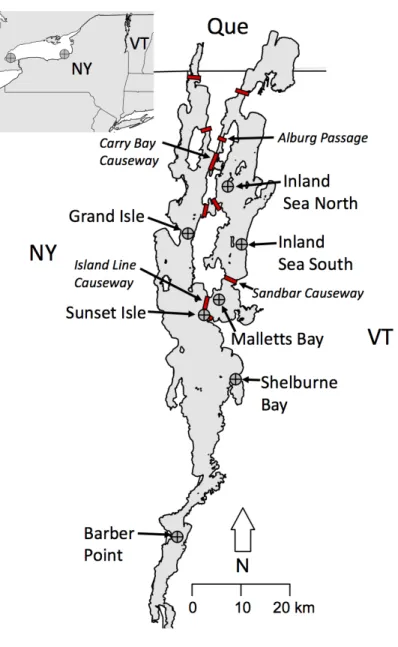 Figure 2.1: Sample sites indicated by open crossed dots for slimy sculpin in Lake Champlain and Lake  Ontario (inset map), and location of nine causeways (red bars) hypothesized to pose barriers to fish  movement