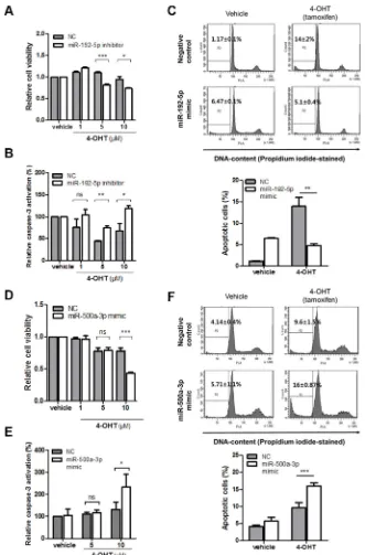 Figure 6: miR-192-5p and miR-500a-3p mediates tamoxifen sensitivity in breast cancer. (A) Cell viability after transfection with miR-negative control inhibitor (NC) and miR-192-5p inhibitor in stably overexpressing LY6K (T47D/LY6K) cells was measured 3 hou