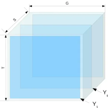 Figure 1.1: Multivariate signal data cube.