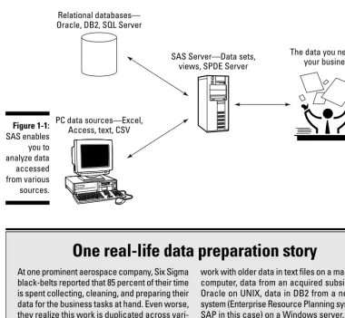 Figure 1-1:SAS enables