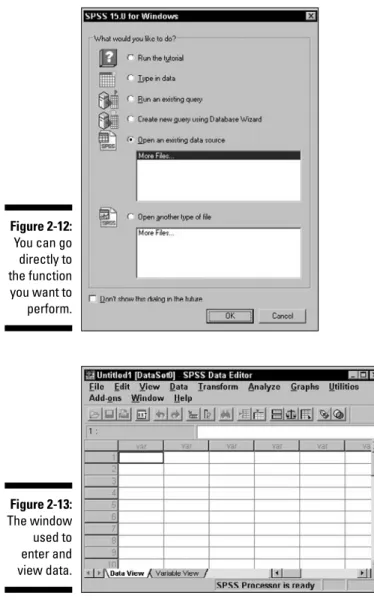 Figure 2-13: The window used to enter and view data.Figure 2-12:You can godirectly tothe functionyou want toperform.