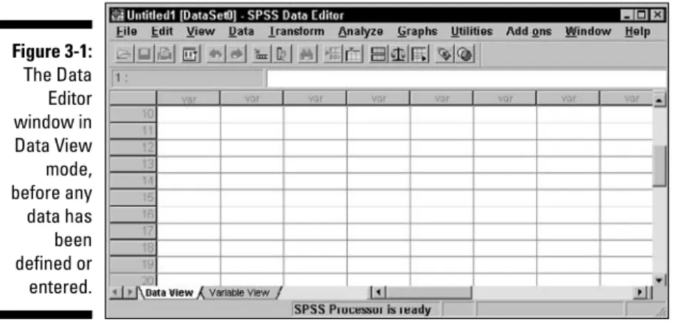 Figure 3-1: The Data Editor window in Data View mode, before any data has been defined or entered.