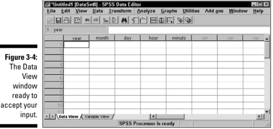 Figure 3-4: The Data View window ready to accept your input.