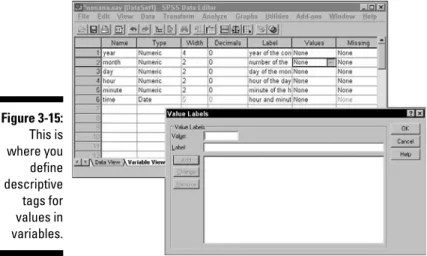 Figure 3-15: This is where you define descriptive tags for values in variables.