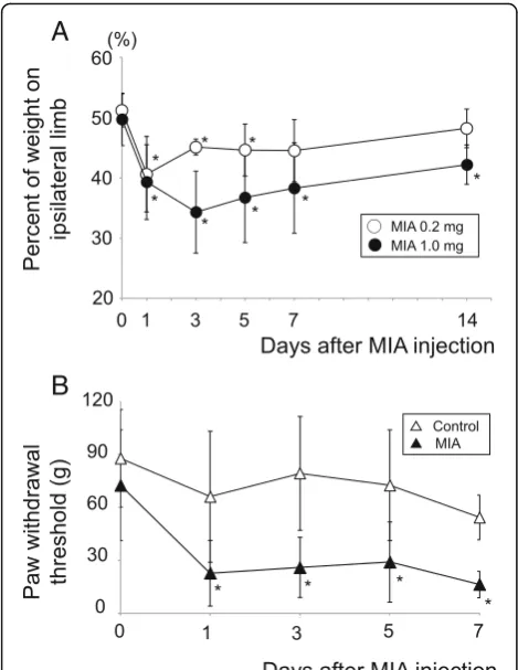 Fig. 2 Pain avoidance behavior tests. (a) Incapacitance test. Weightbearing asymmetry between ipsilateral (MIA side) and contralateral(control side) limbs was measured and the percent weight ofipsilateral limb was calculated as described previously [13]