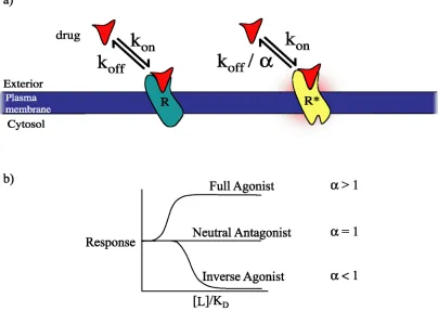 Figure 1.1  a) A drug’s view of a receptor.  Using a simplified view of drug–receptorinteractions, the drug can only bind to (kon) and dissociate from (koff) the receptor,selecting for a specific conformation (α)