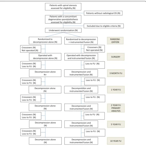 Fig. 1 Flow-chart for NORDSTEN-DS. Legend: Eligibility, randomization, treatment and follow-up