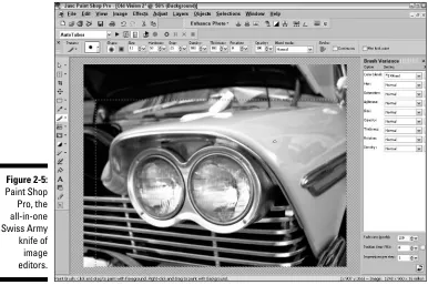 Figure 2-5: Paint Shop 