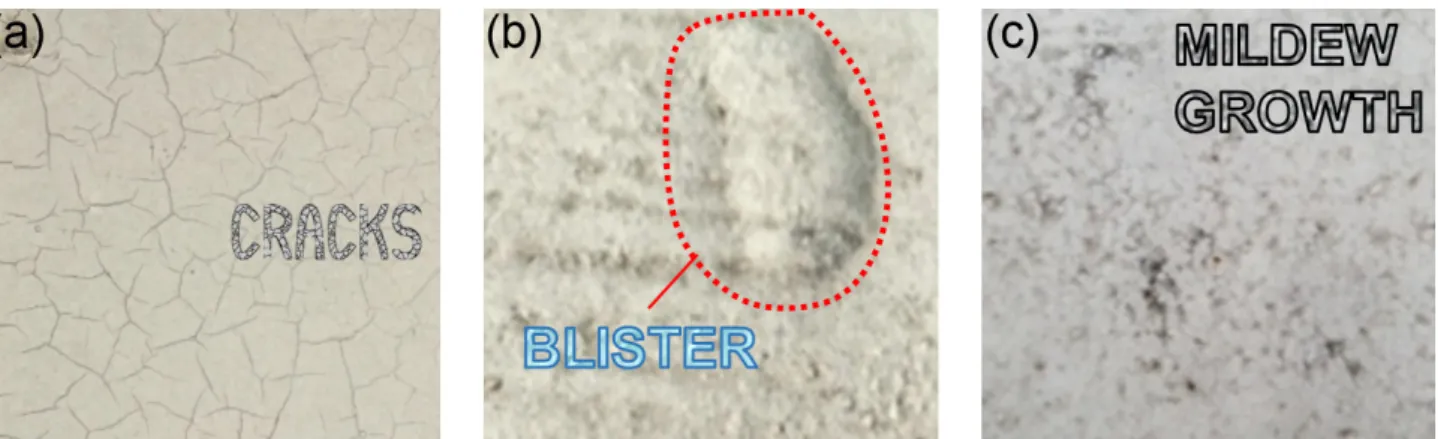 Figure 10. A feature of aged specimens in month 12s, (a) cracks, (b) blistering, and (c) mildew growth