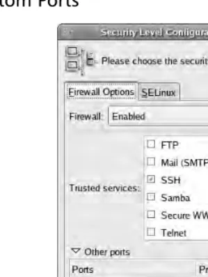 Figure 2.10 Custom Ports