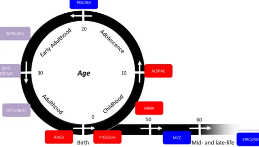 Fig. 1. The conceptual framework of Exposomics (life-long integration of cohorts).