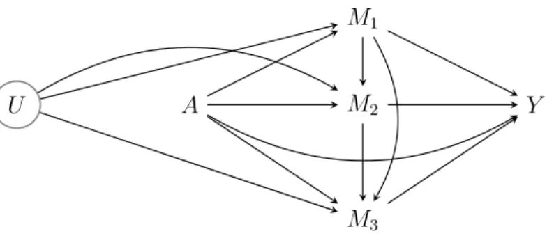 Figure 1: Causal diagram 5: multiple mediators.