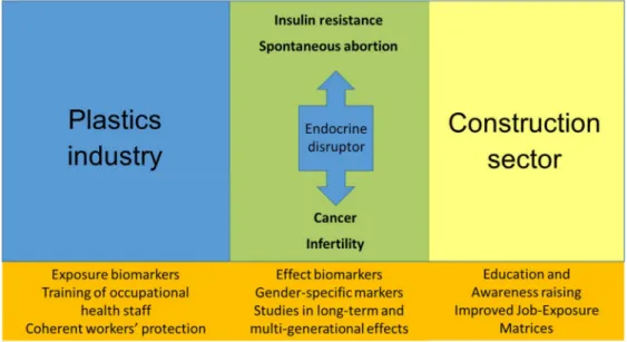 Figure 1. Schematic presentation of the topics and avenues for further research.